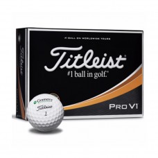 60713 - Titleist® Pro V1® Golf Ball Std Serv